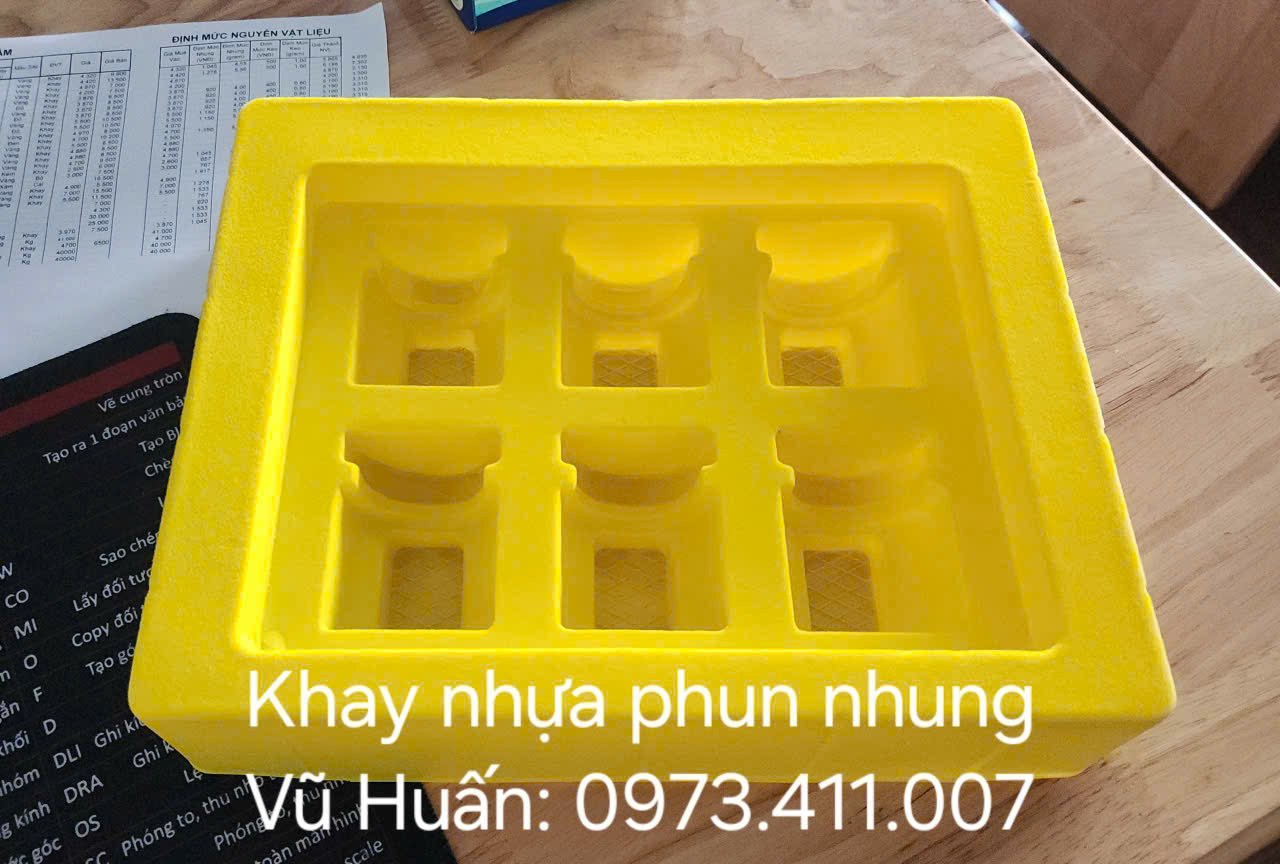 khay định hình đựng sản phẩm